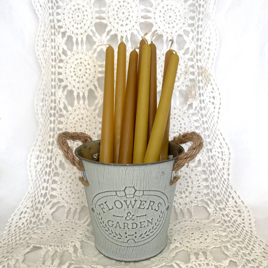 Beeswax Taper Candles | standard size